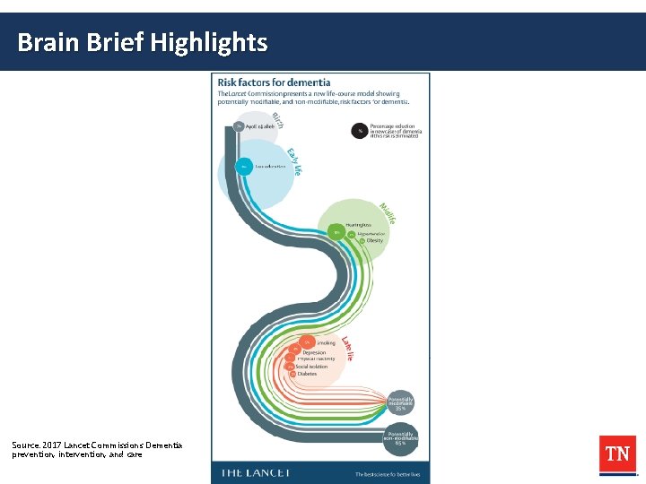 Brain Brief Highlights Source: 2017 Lancet Commissions Dementia prevention, intervention, and care 