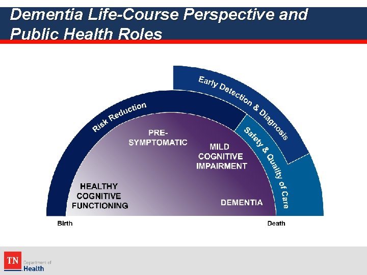 Dementia Life-Course Perspective and Public Health Roles 