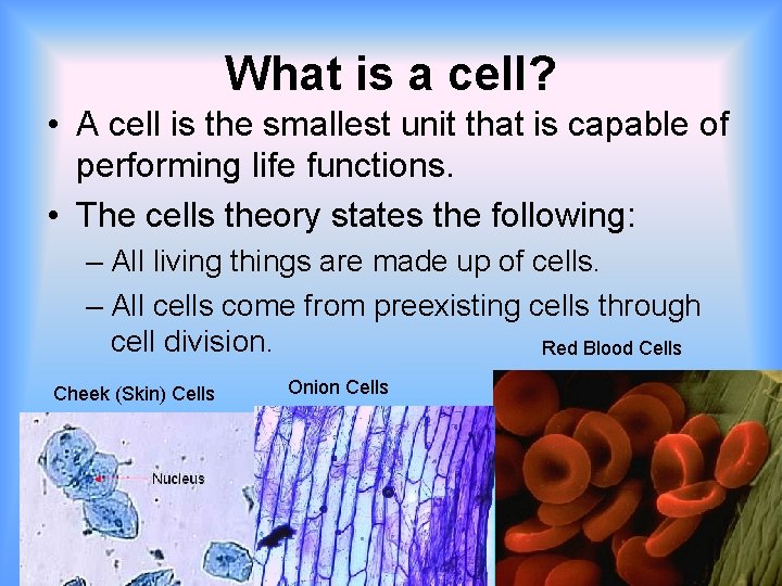 What is a cell? • A cell is the smallest unit that is capable