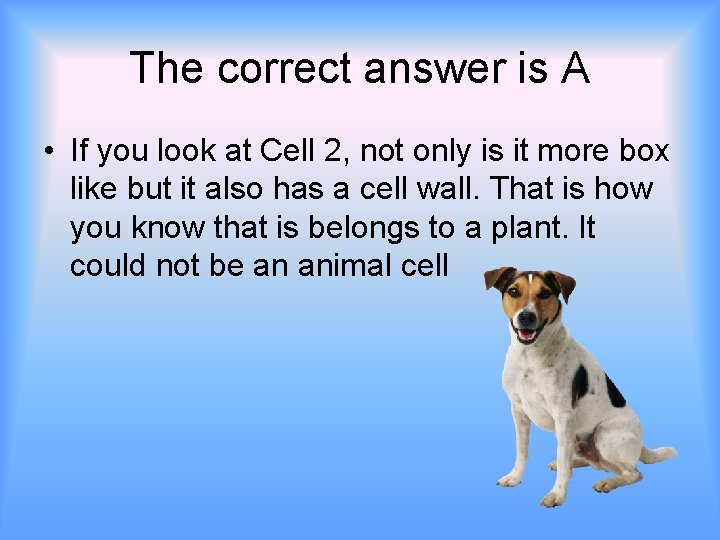 The correct answer is A • If you look at Cell 2, not only