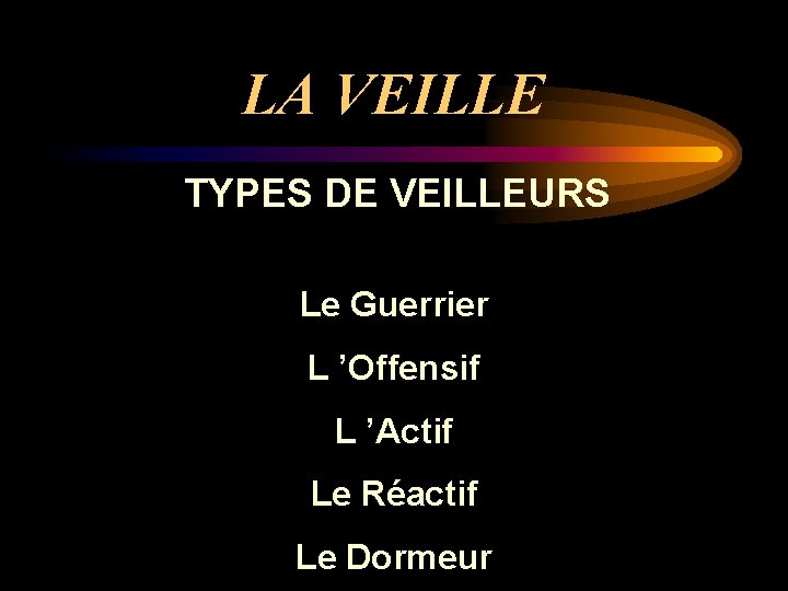 LA VEILLE TYPES DE VEILLEURS Le Guerrier L ’Offensif L ’Actif Le Réactif Le