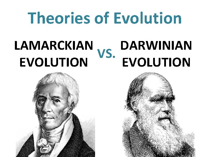 Theories of Evolution LAMARCKIAN DARWINIAN VS. EVOLUTION 