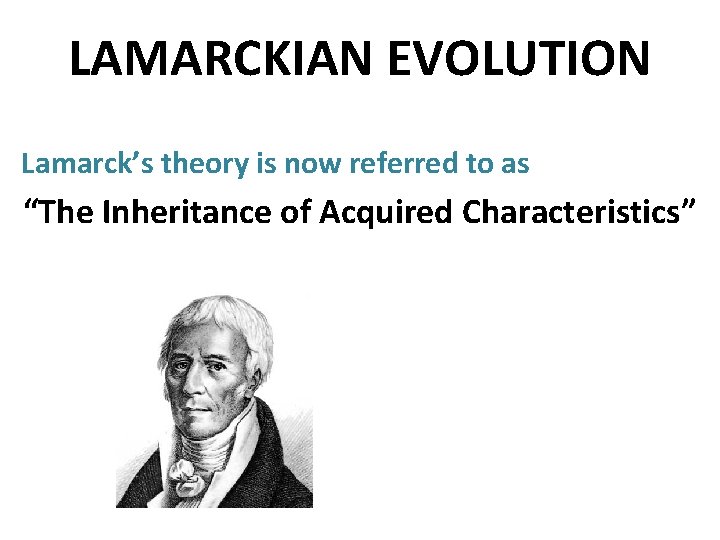 LAMARCKIAN EVOLUTION Lamarck’s theory is now referred to as “The Inheritance of Acquired Characteristics”