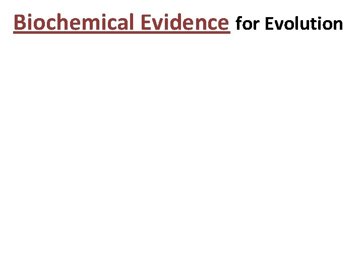 Biochemical Evidence for Evolution 