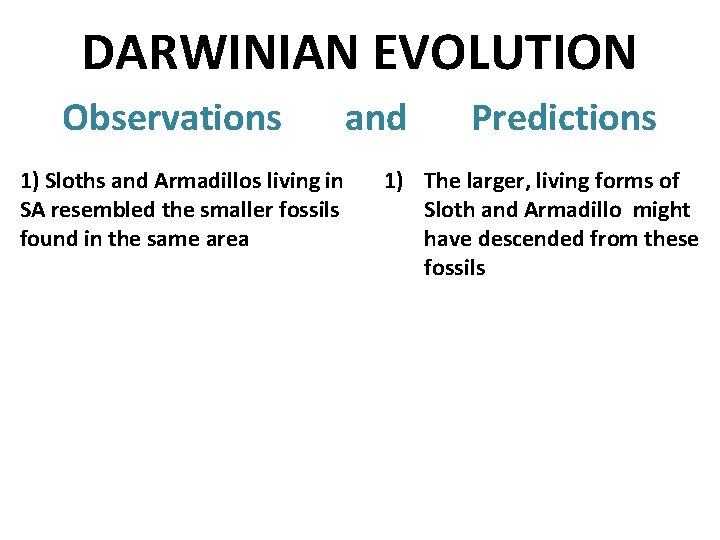 DARWINIAN EVOLUTION Observations and Predictions 1) Sloths and Armadillos living in SA resembled the