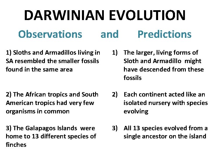 DARWINIAN EVOLUTION Observations and Predictions 1) Sloths and Armadillos living in SA resembled the