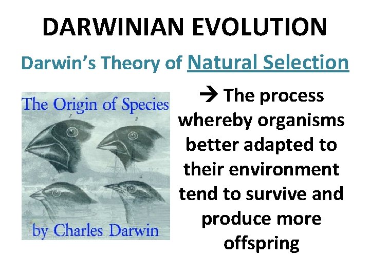 DARWINIAN EVOLUTION Darwin’s Theory of Natural Selection The process whereby organisms better adapted to