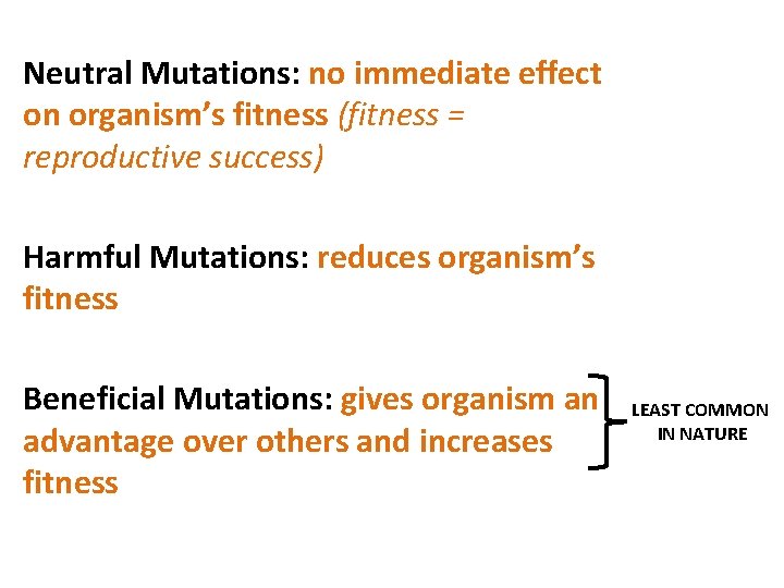 Neutral Mutations: no immediate effect on organism’s fitness (fitness = reproductive success) Harmful Mutations: