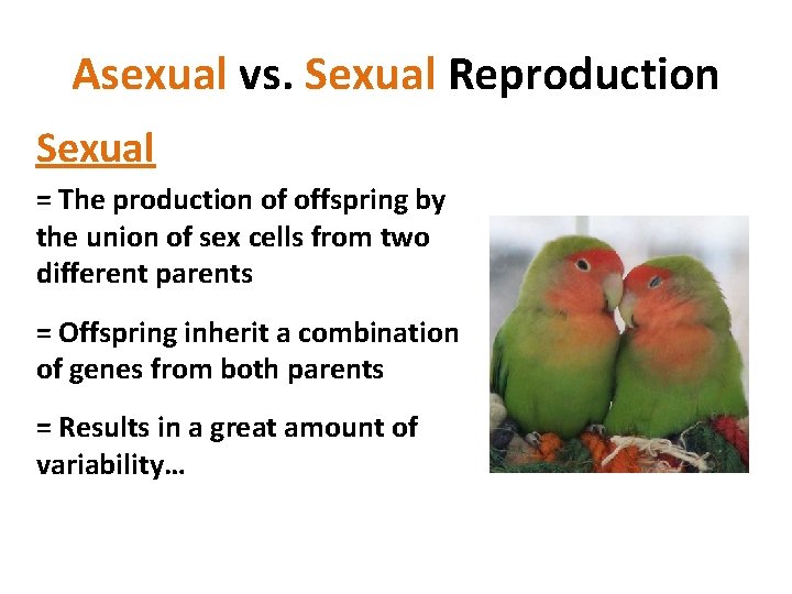 Asexual vs. Sexual Reproduction Sexual = The production of offspring by the union of