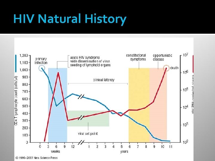 HIV Natural History 