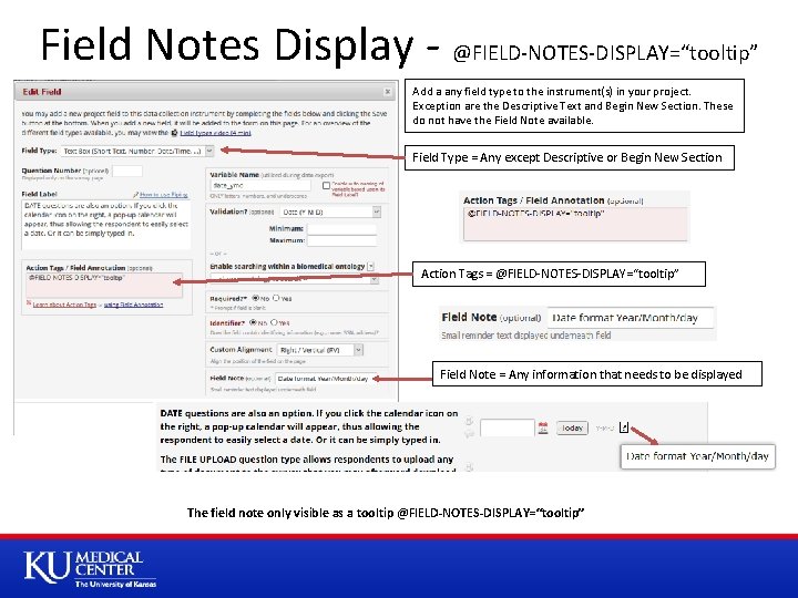 Field Notes Display - @FIELD-NOTES-DISPLAY=“tooltip” Add a any field type to the instrument(s) in