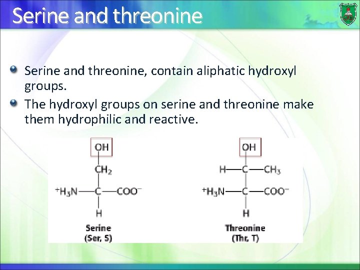 Serine and threonine, contain aliphatic hydroxyl groups. The hydroxyl groups on serine and threonine