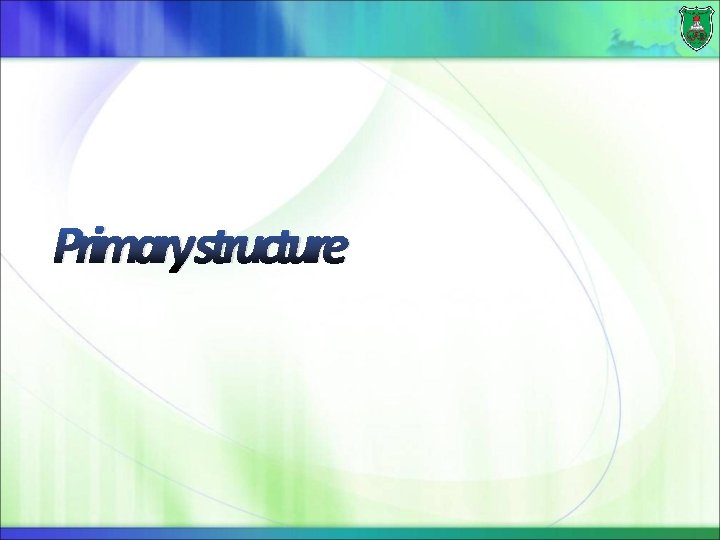 Primarystructure 