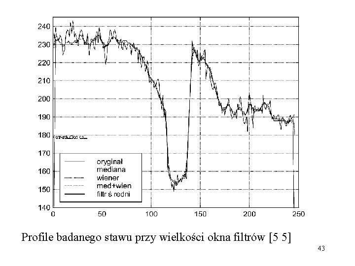 Profile badanego stawu przy wielkości okna filtrów [5 5] 43 