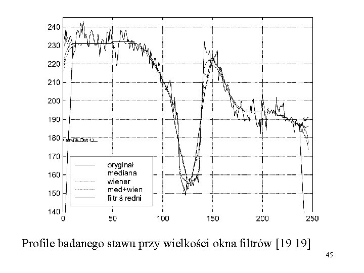 Profile badanego stawu przy wielkości okna filtrów [19 19] 45 