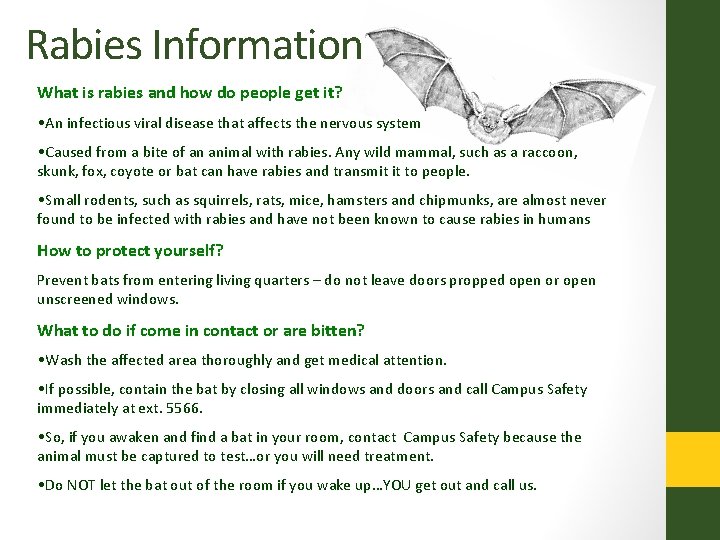Rabies Information What is rabies and how do people get it? • An infectious