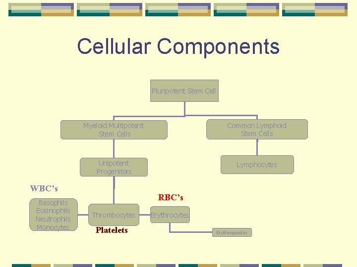 Cellular Components Pluripotent Stem Cell Myeloid Multipotent Stem Cells Common Lymphoid Stem Cells Unipotent