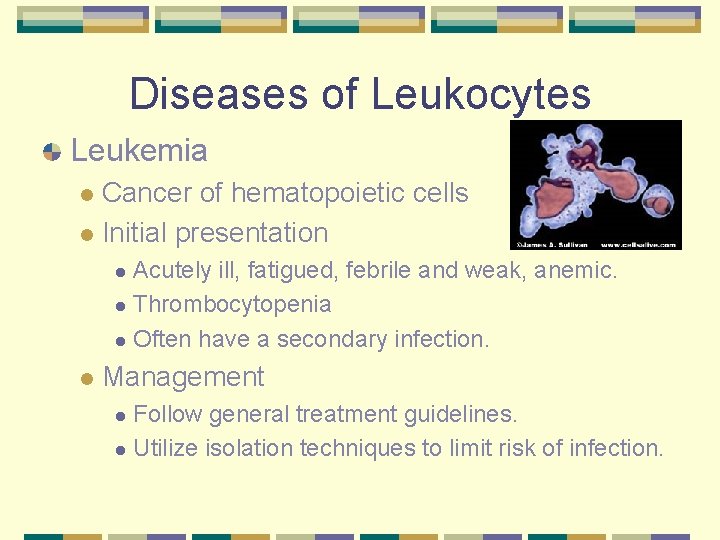 Diseases of Leukocytes Leukemia Cancer of hematopoietic cells l Initial presentation l Acutely ill,