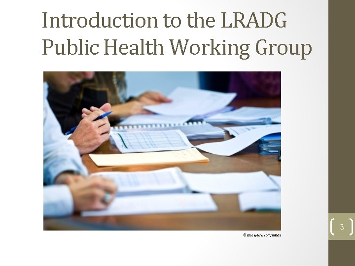 Introduction to the LRADG Public Health Working Group 3 ©i. Stockphoto. com/Nikada 