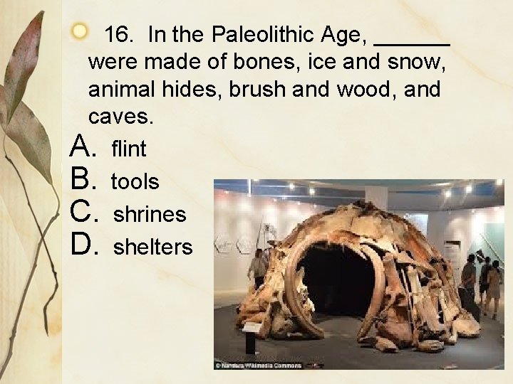 16. In the Paleolithic Age, ______ were made of bones, ice and snow, animal