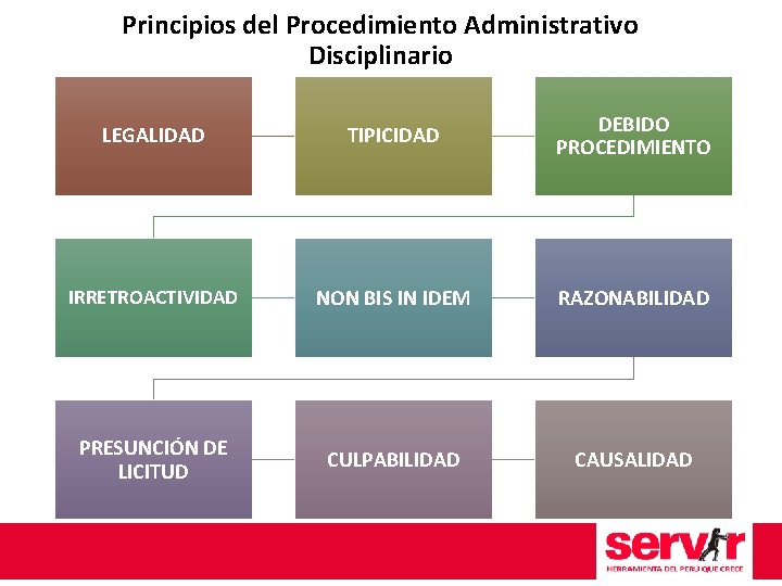 Principios del Procedimiento Administrativo Disciplinario LEGALIDAD TIPICIDAD DEBIDO PROCEDIMIENTO IRRETROACTIVIDAD NON BIS IN IDEM