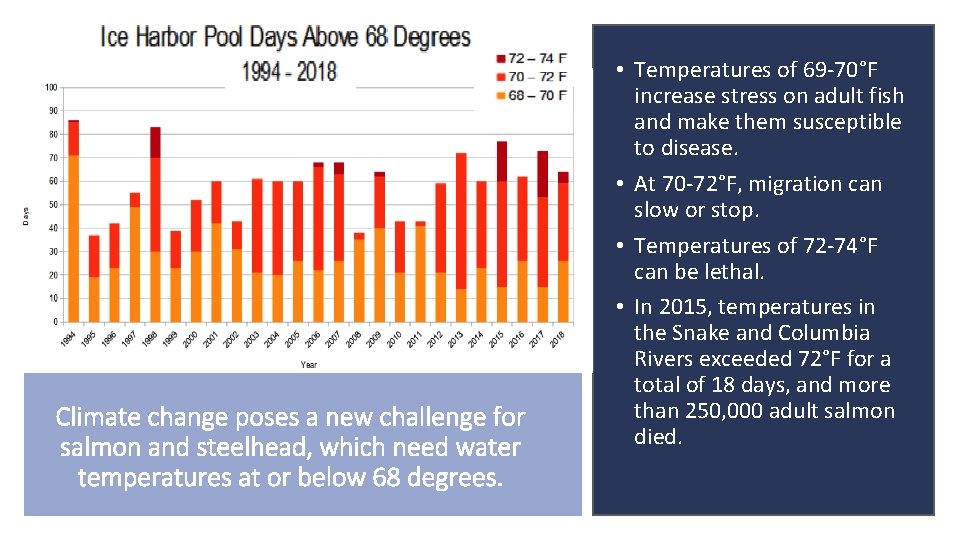 Climate change poses a new challenge for salmon and steelhead, which need water temperatures