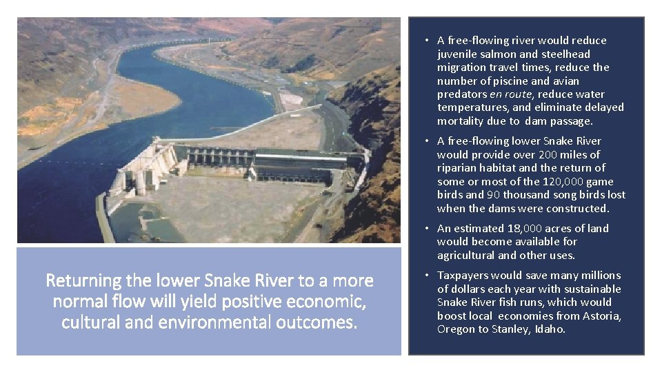  • A free-flowing river would reduce juvenile salmon and steelhead migration travel times,