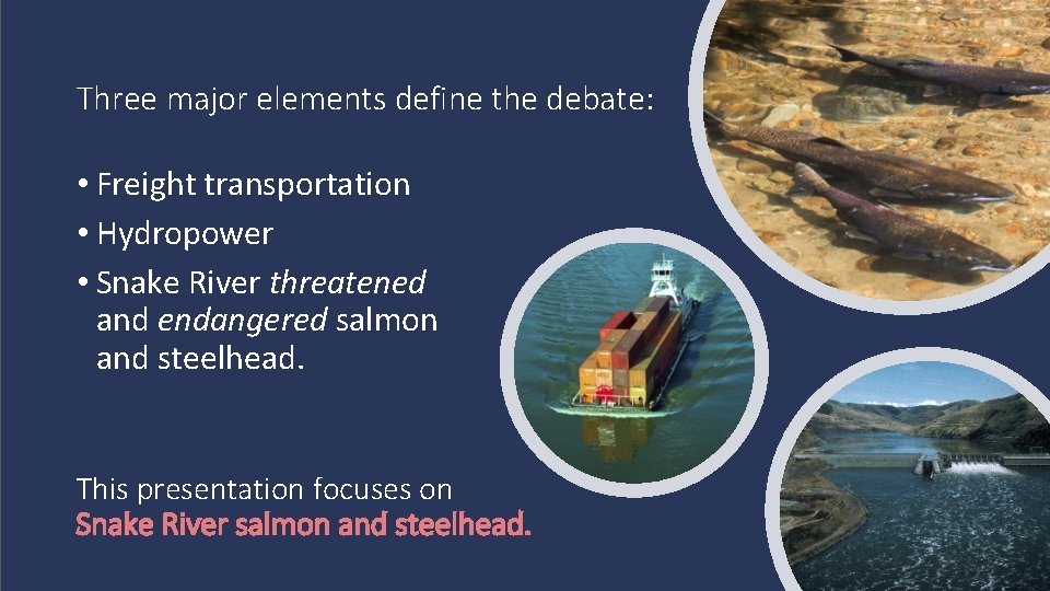 Three major elements define the debate: • Freight transportation • Hydropower • Snake River