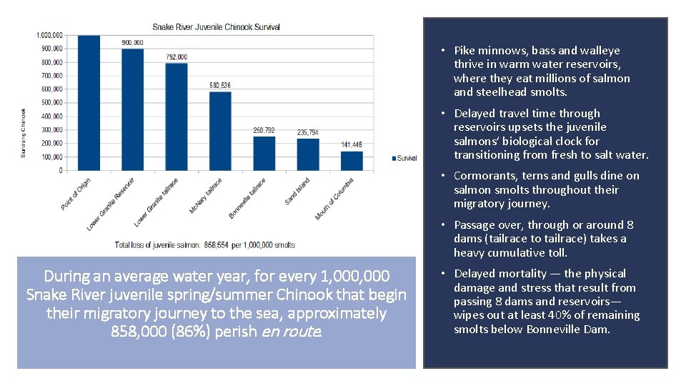  • Pike minnows, bass and walleye thrive in warm water reservoirs, where they