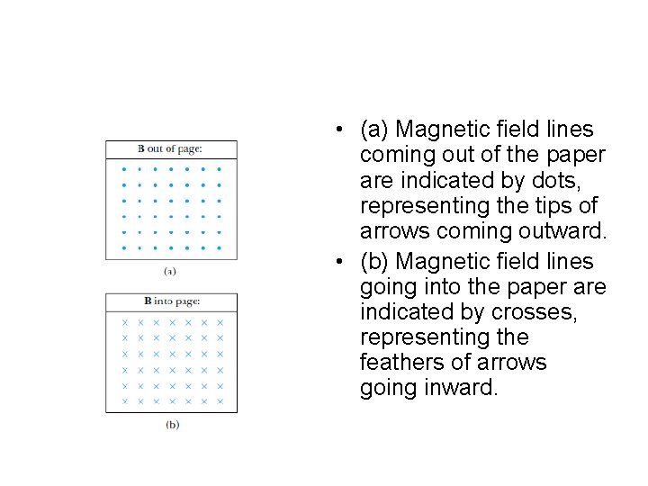 • (a) Magnetic field lines coming out of the paper are indicated by • (a) Magnetic field lines coming out of the paper are indicated by