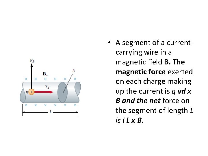 • A segment of a currentcarrying wire in a magnetic field B. The • A segment of a currentcarrying wire in a magnetic field B. The