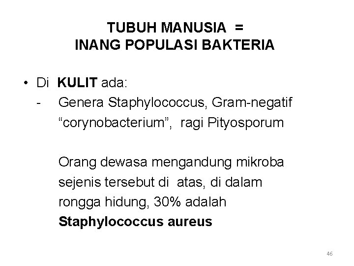 TUBUH MANUSIA = INANG POPULASI BAKTERIA • Di KULIT ada: - Genera Staphylococcus, Gram-negatif