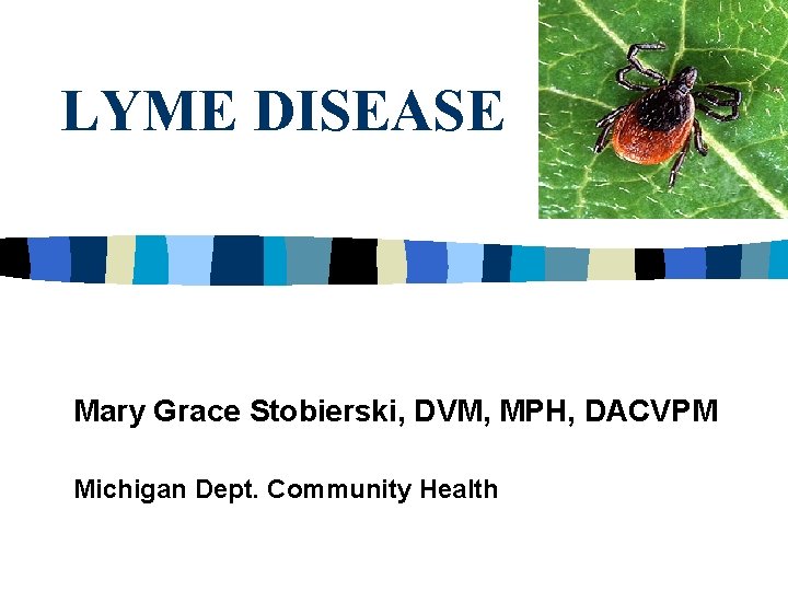 LYME DISEASE Mary Grace Stobierski, DVM, MPH, DACVPM Michigan Dept. Community Health 