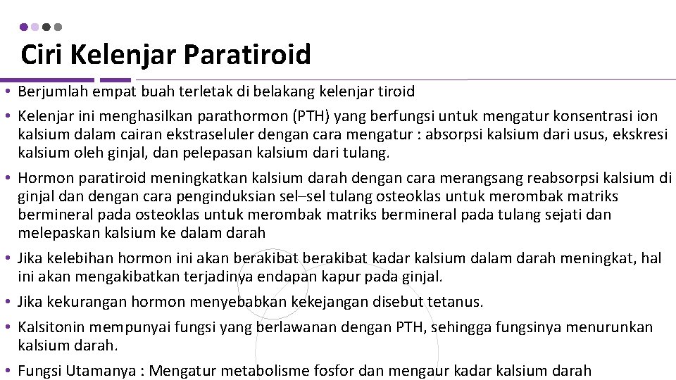 Ciri Kelenjar Paratiroid • Berjumlah empat buah terletak di belakang kelenjar tiroid • Kelenjar