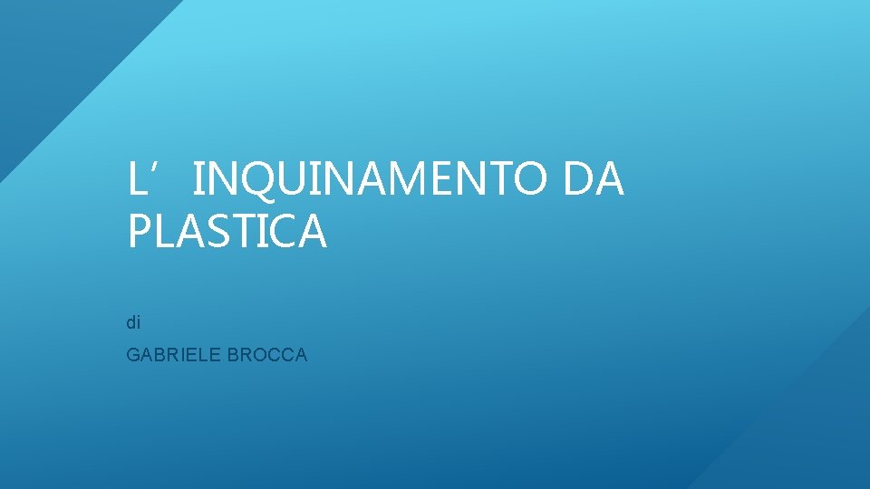L’INQUINAMENTO DA PLASTICA di GABRIELE BROCCA 
