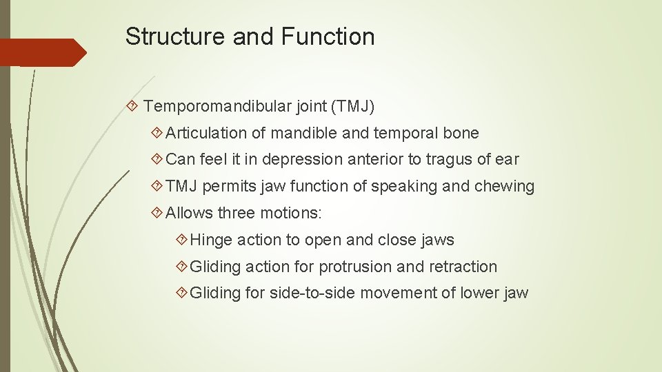 Structure and Function Temporomandibular joint (TMJ) Articulation of mandible and temporal bone Can feel