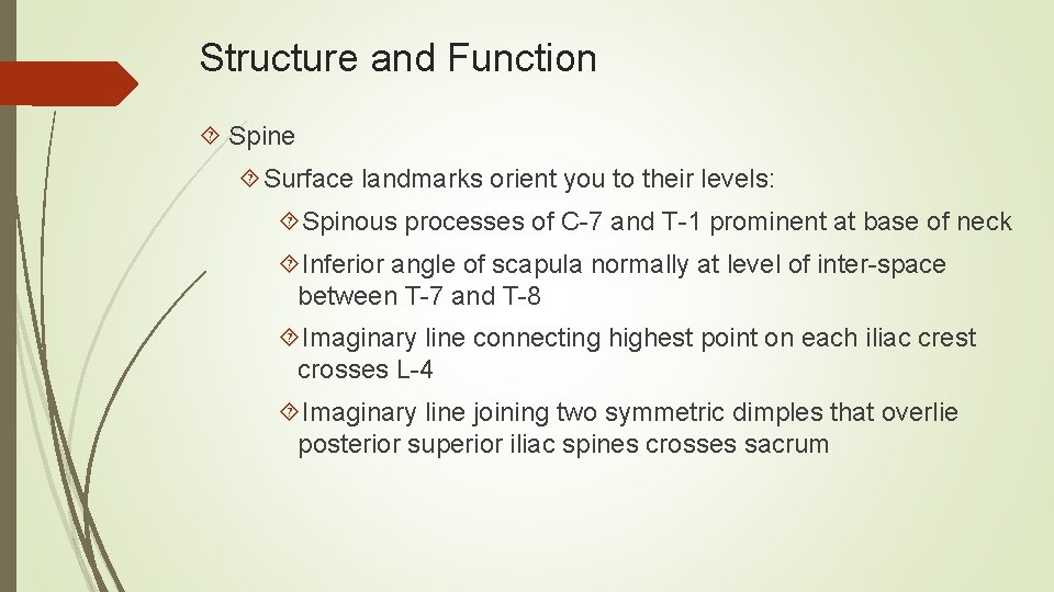 Structure and Function Spine Surface landmarks orient you to their levels: Spinous processes of