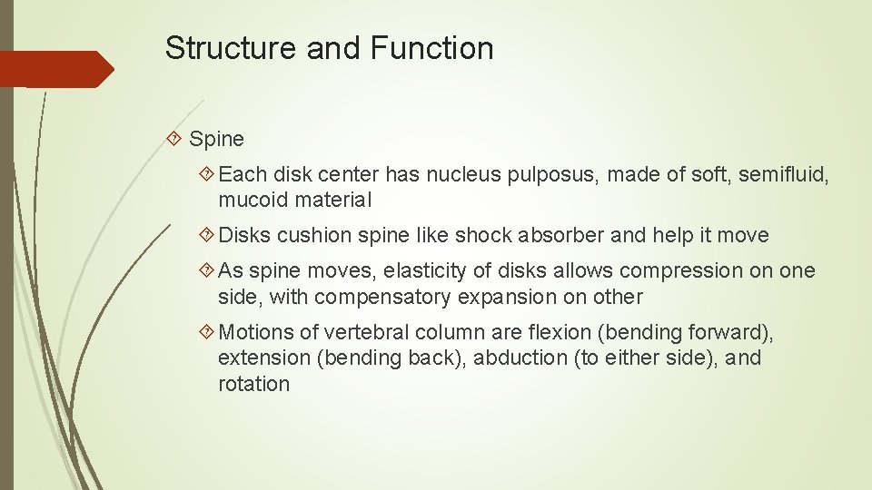 Structure and Function Spine Each disk center has nucleus pulposus, made of soft, semifluid,