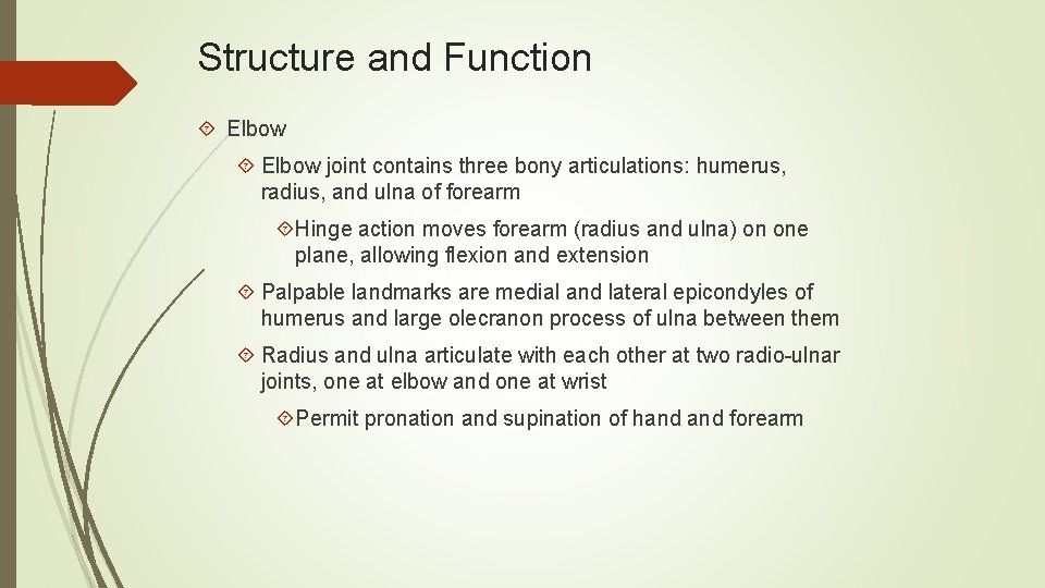 Structure and Function Elbow joint contains three bony articulations: humerus, radius, and ulna of