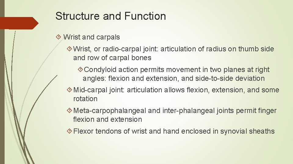 Structure and Function Wrist and carpals Wrist, or radio-carpal joint: articulation of radius on