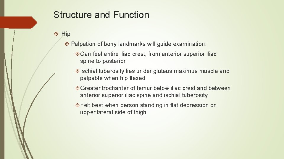 Structure and Function Hip Palpation of bony landmarks will guide examination: Can feel entire