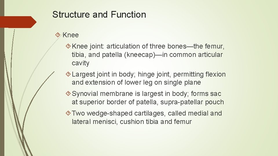 Structure and Function Knee joint: articulation of three bones—the femur, tibia, and patella (kneecap)—in