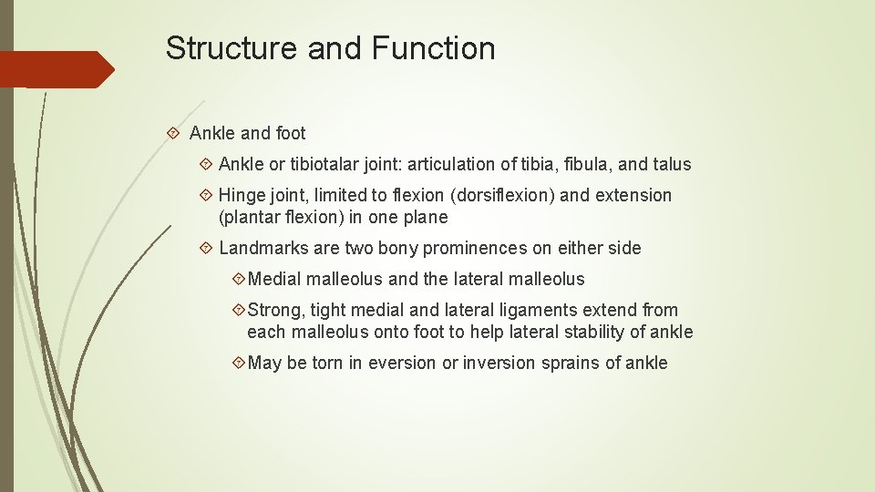 Structure and Function Ankle and foot Ankle or tibiotalar joint: articulation of tibia, fibula,