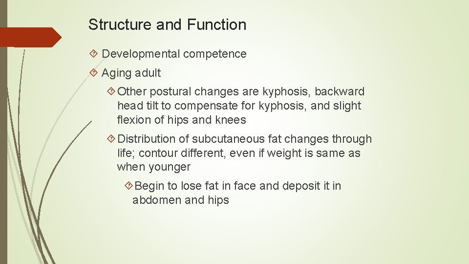 Structure and Function Developmental competence Aging adult Other postural changes are kyphosis, backward head