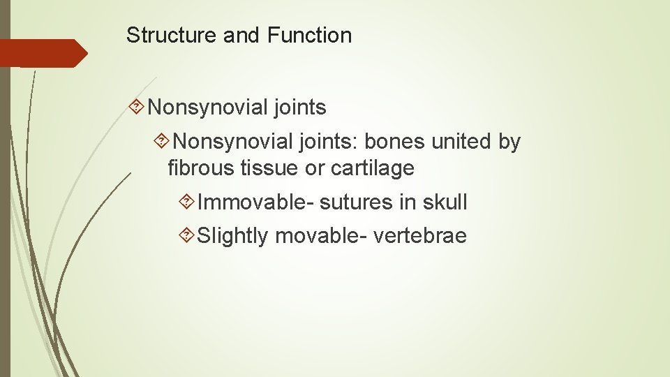 Structure and Function Nonsynovial joints: bones united by fibrous tissue or cartilage Immovable- sutures