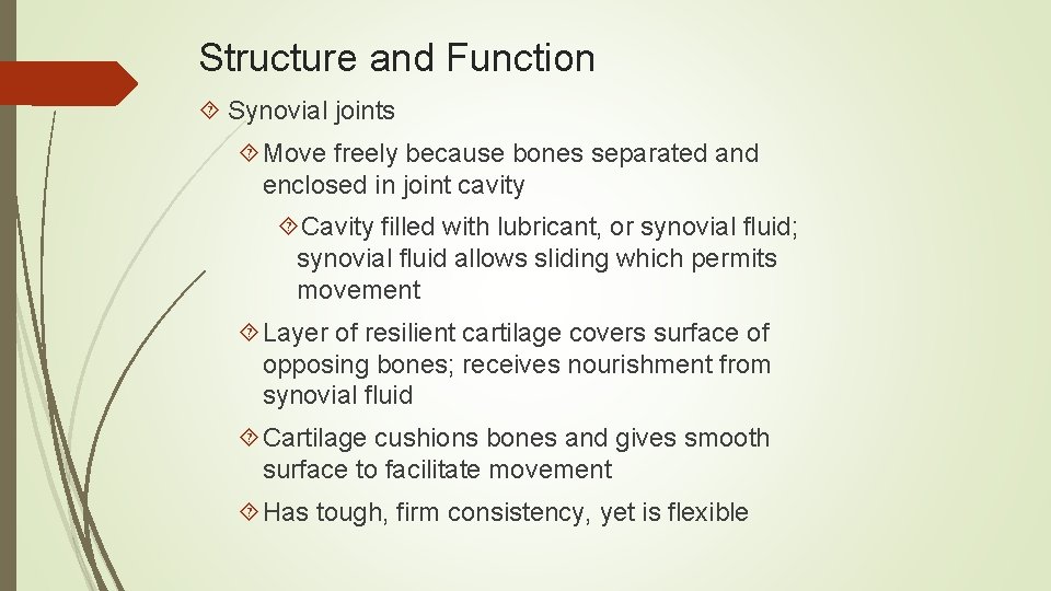 Structure and Function Synovial joints Move freely because bones separated and enclosed in joint