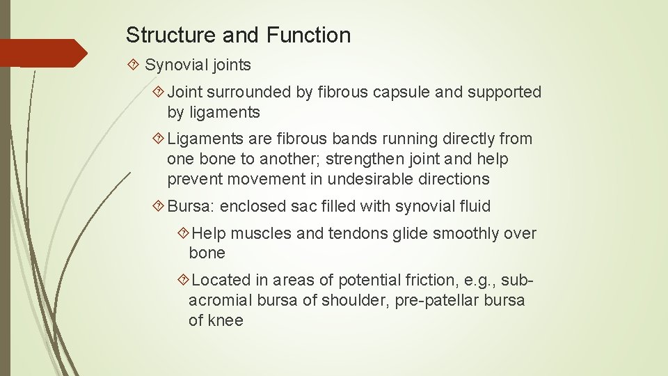 Structure and Function Synovial joints Joint surrounded by fibrous capsule and supported by ligaments