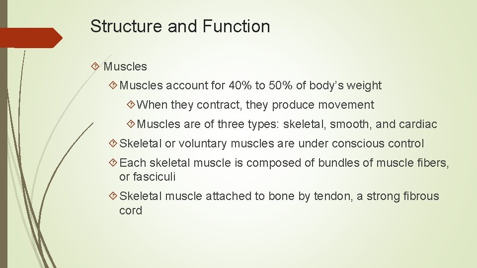 Structure and Function Muscles account for 40% to 50% of body’s weight When they