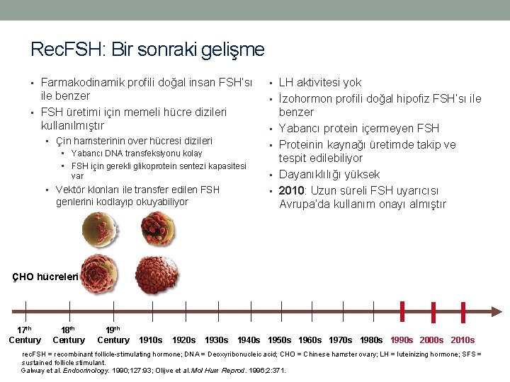 Rec. FSH: Bir sonraki gelişme • Farmakodinamik profili doğal insan FSH’sı • LH aktivitesi