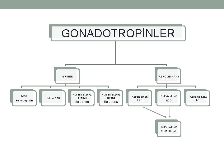 GONADOTROPİNLER ÜRİNER h. MG Menotropinler Üriner FSH Yüksek oranda purifiye Üriner FSH REKOMBİNANT Yüksek